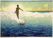 Hawaii-The Surf Rider